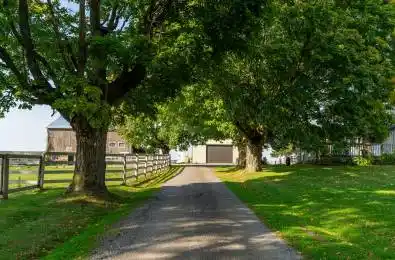 772 Townline Road Scugog Ontario L0B 1A0