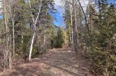 PtLt133 Conc1 N/A Grey Highlands Ontario N0C 1E0