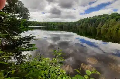6447 Opeongo Road Bonnechere Valley Ontario K0J 1T0