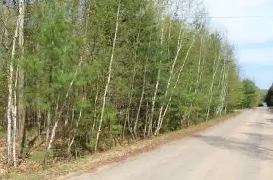 Ingoldsby Road Minden Hills Ontario K0M 2K0