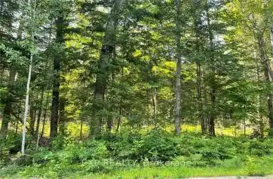 Lot B Chippawa Road Madawaska Valley Ontario K0J 1B0