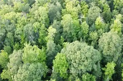 Lot A Chippawa Road Madawaska Valley Ontario K0J 1B0