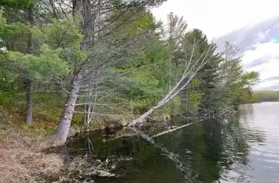 Lot 13 Sandy Shores Trail Madawaska Valley Ontario K0J 1B0