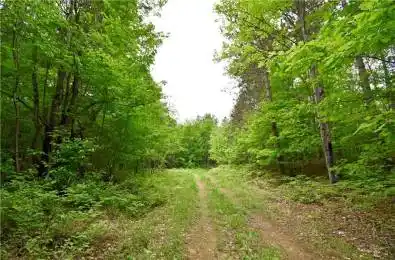 455 PASSAW Road North Algona Wilberforce Ontario K0J 1T0