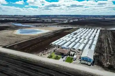 331 Tornado Drive Bradford West Gwillimbury Ontario L3Z 2A6