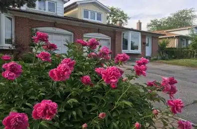 148 Old Sheppard Avenue Toronto C15 Ontario M2J 3L9