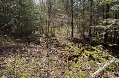 00 Monck Road Faraday Ontario K0L 1C0
