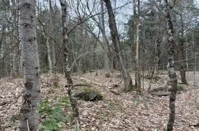 Lot 2 Loch Erne Road McDougall Ontario P2A 2W7