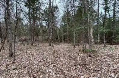 Lot 1 Loch Erne Road McDougall Ontario P2A 2W7