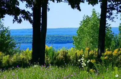 LT 38 GRAHAMS HILL Road Georgian Bluffs Ontario N0H 2T0