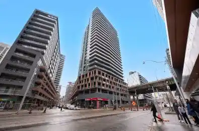 20 Bruyeres Mews Unit# 315 Toronto C01 Ontario M5V 0G8