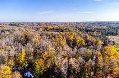 14100 Front Road Loyalist Ontario K0H 2S0