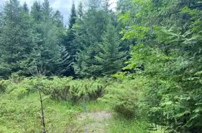 Barcroft Road Trent Lakes Ontario K0L 1J0