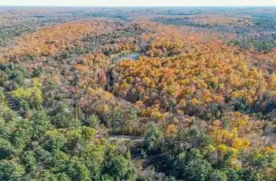 3051 Yearly Road Huntsville Ontario P0A 1R0