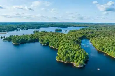 139 Lake Vision Avenue McMurrich/Monteith Ontario P0A 1Y0