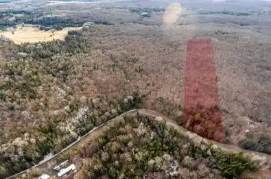 Lot 1 South Horn Lake Road Armour Ontario P0A 1C0
