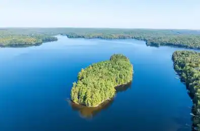 10000 Soyers - Brown Island N/A Minden Hills Ontario K0M 2K0