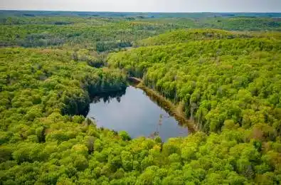 Angle Lake Road Lake of Bays Ontario P0A 1H0