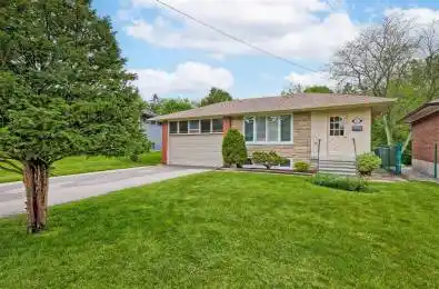 11 Alpaca Drive Toronto E09 Ontario M1J 2Z8