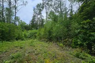 PT LT 35 Con 3 WBR Hardwick Cove Road Northern Bruce Peninsula Ontario