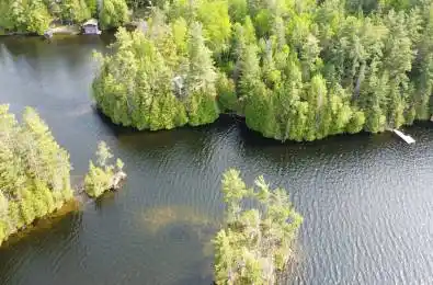 1052 Ridgeway Lane North Frontenac Ontario K0H 1B0