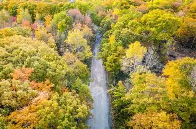 87 CORRIEVALE RD N/A Unit# Lot A Georgian Bay Ontario L0K 1S0
