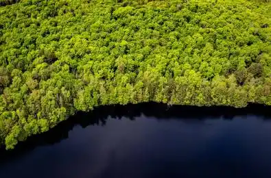 1310 Camel Lake Road Unit# Unit 13 Lot 6 Muskoka Lakes Ontario P1L 1X4