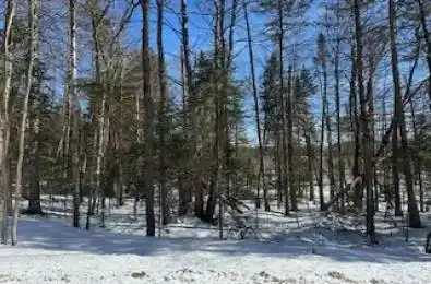 Part 8 of Part of Lot 18 Concession Unit# 9 Lake of Bays Ontario P0B 1