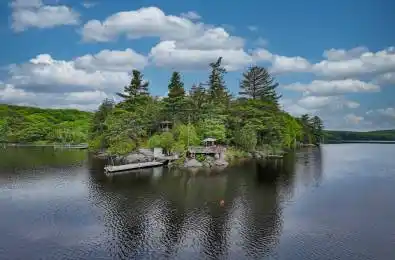 230 Doe Lake Road Armour Ontario P0A 1L0