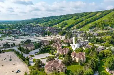 169 Jozo Weider Boulevard Unit# 221 Blue Mountains Ontario L9Y 0P7