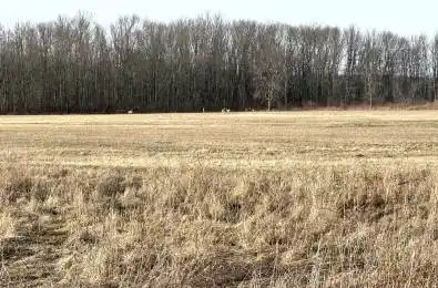68 3rd CONCESSION Road Frontenac Islands Ontario K0H 2S0
