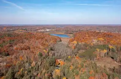 1236 Butter & Egg Road Muskoka Lakes Ontario P1L 1X4