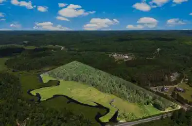Williams Lake Road Hastings Highlands Ontario K0L 2S0