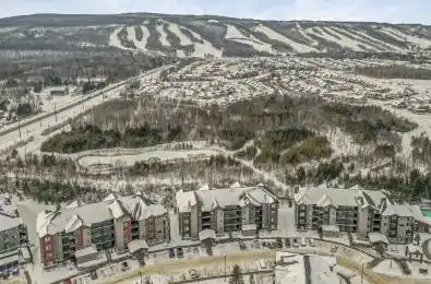 10 BEAUSOLEIL Lane Unit# 207 Blue Mountains Ontario L9Y 0R4