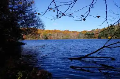 14 Zhaawashkwaa Miikan Road Seguin Ontario P2A 0B2