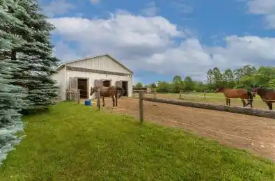 3988 Hwy 6 Highway Puslinch Ontario N0B 2J0