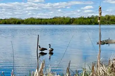 523 Island View Road Unit# #15 Alnwick/Haldimand Ontario K0K 2X0