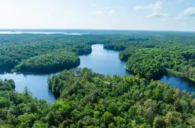 1544 South Lancelot Road Huntsville Ontario P0B 1M0
