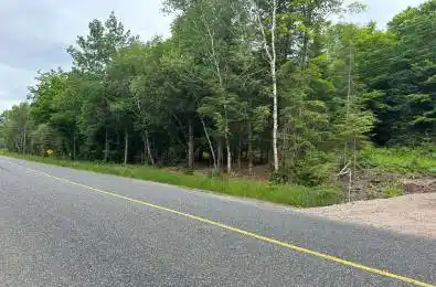 259 SHEBESHEKONG Road Carling Ontario P0G 1G0
