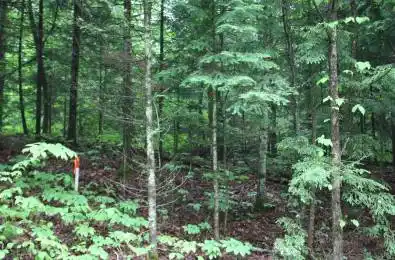 Quarry Road Bancroft Ontario K0L 1C0