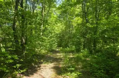 1134 Walkers Line Road Algonquin Highlands Ontario K0M 1S0