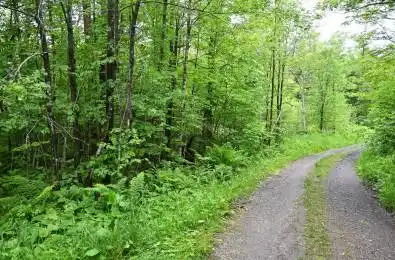 597 (Lot 3) Fords Road Magnetawan Ontario P2A 0B5