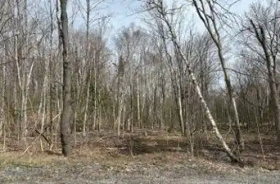 Lot Silverwood Road Minden Hills Ontario K0M 2K0