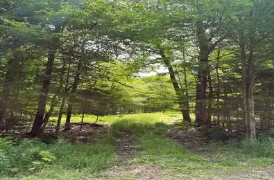 Peplinskie Road Madawaska Valley Ontario K0J 1L0