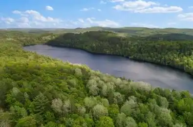18993 HIGHWAY 60 N/A Madawaska Valley Ontario K0J 1B0