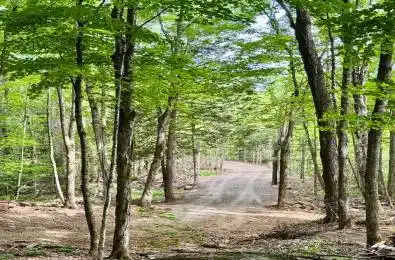 Tom Bolton Road Minden Hills Ontario K0M 2K0