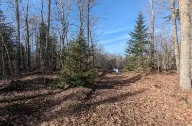11146 ON-118 Highway N/A Algonquin Highlands Ontario K0M 1J1