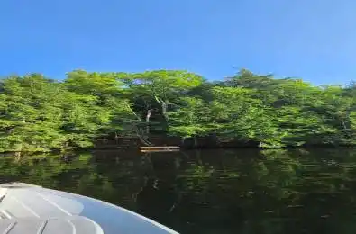 Madawaska River N/A McNab/Braeside Ontario K0J 1G0