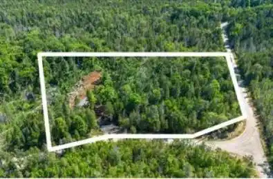 284 Limerick Lake Road Tudor & Cashel Ontario K0L 1W0