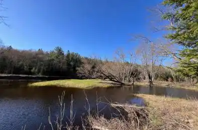 739B Bronson Road Bancroft Ontario K0L 1C0